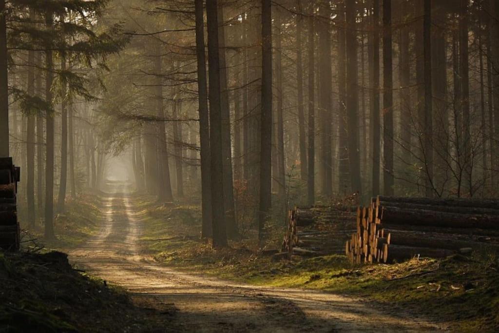 Reewold Veluwe Villa Putten Ngoại thất bức ảnh
