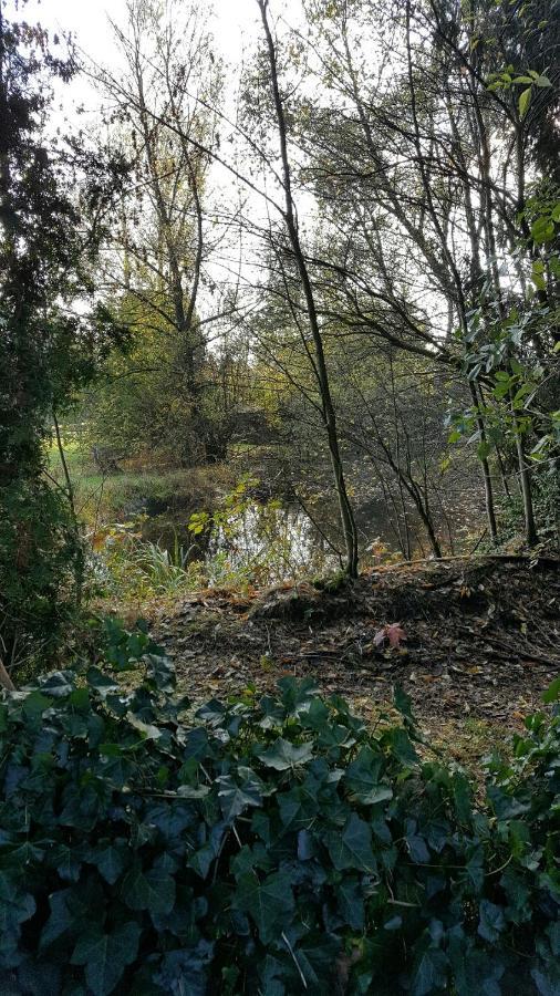 Reewold Veluwe Villa Putten Ngoại thất bức ảnh