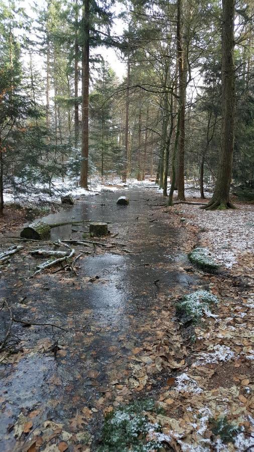 Reewold Veluwe Villa Putten Ngoại thất bức ảnh