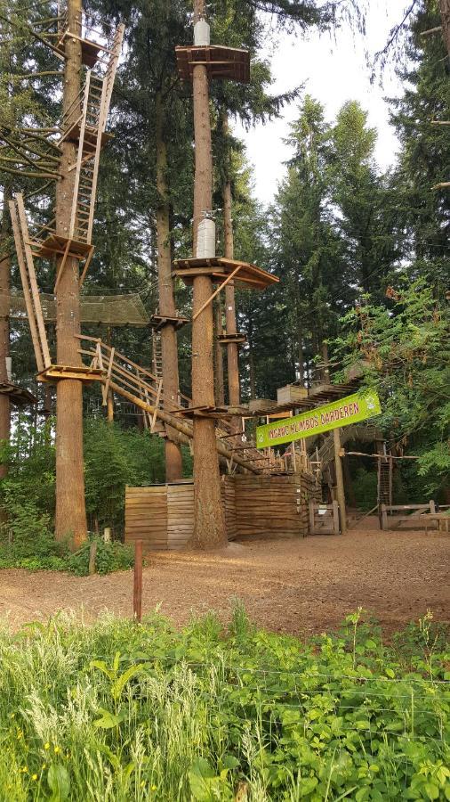 Reewold Veluwe Villa Putten Ngoại thất bức ảnh