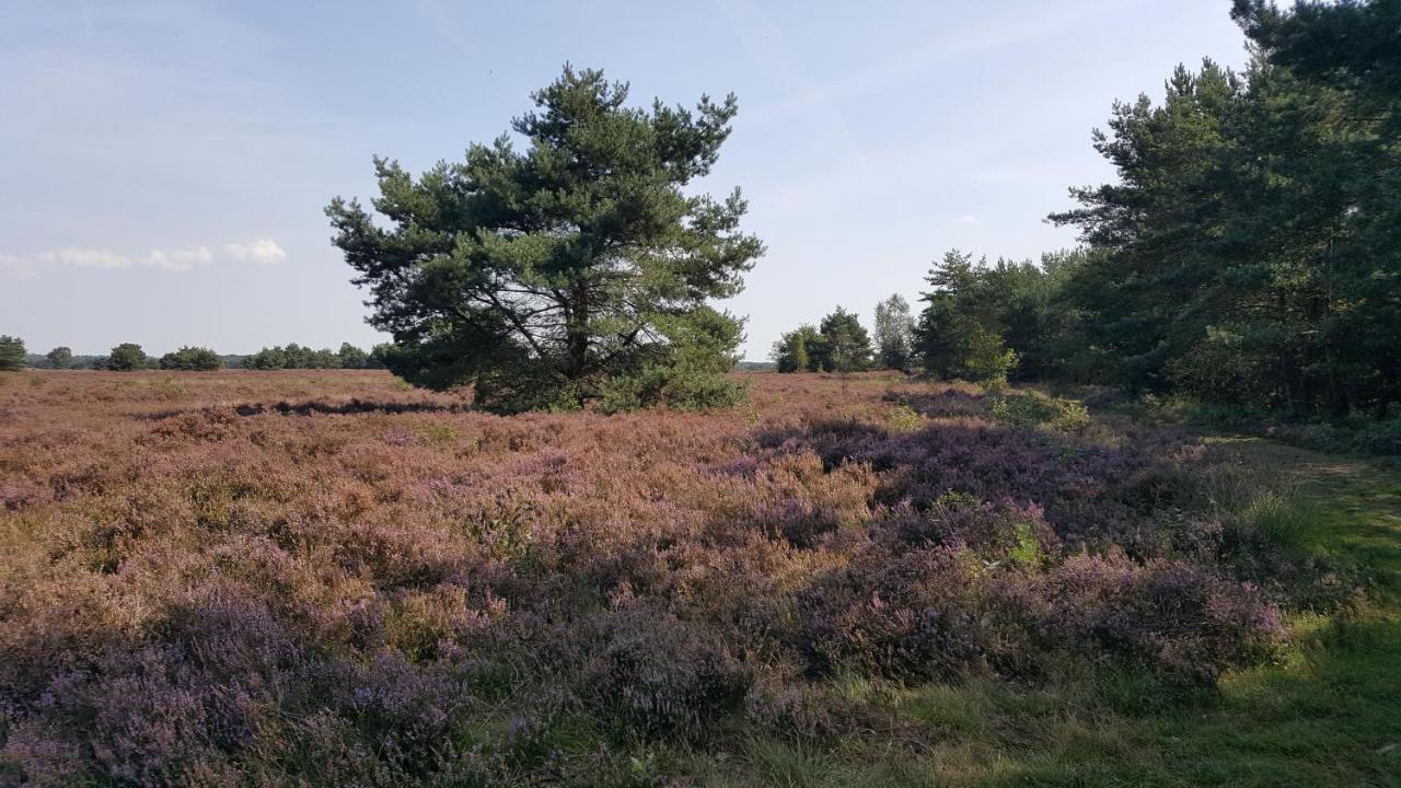 Reewold Veluwe Villa Putten Ngoại thất bức ảnh