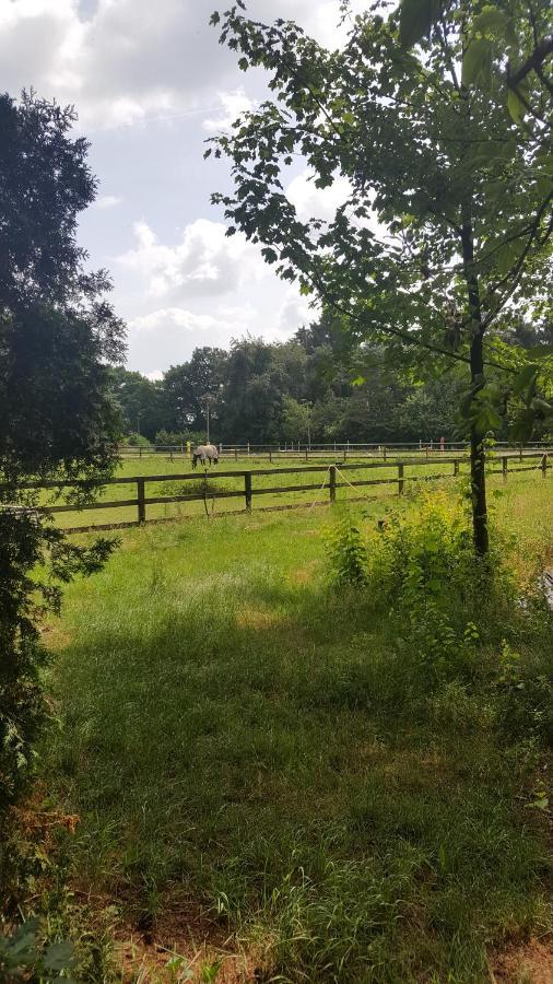 Reewold Veluwe Villa Putten Ngoại thất bức ảnh