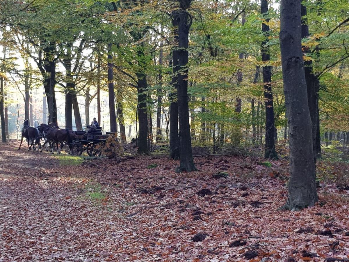 Reewold Veluwe Villa Putten Ngoại thất bức ảnh