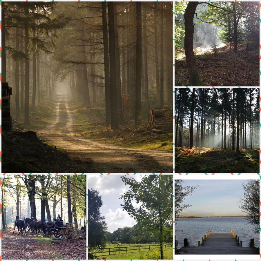 Reewold Veluwe Villa Putten Ngoại thất bức ảnh